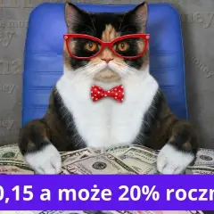 Ile można zarobić na akcjach? Realne możliwości i strategie