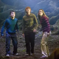 Harry, Ron i Hermiona w mrocznym lesie, szukając czegoś w Harry Potter 5.