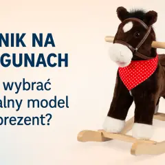 Konik na biegunach: Jak wybrać mądrze? Bezpieczeństwo i rozwój