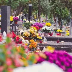 Cmentarz z nagrobkami ozdobionymi kwiatami i zniczami. Szukasz informacji, jak znaleźć gdzie jest pochowana osoba?