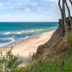 Plaża nad Bałtykiem z klifem porośniętym trawami i drzewami.