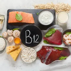 Vielfältige vitamin b12 lebensmittel: Lachs, Sardinen, Rindfleisch, Leber, Garnelen, Eier, Milchprodukte, Pilze und Haferflocken.