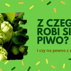 Z czego jest piwo? Poznaj składniki, które kształtują smak piwa