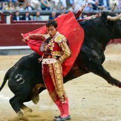 José Garrido, con su traje de luces, se enfrenta a un toro bravo en la arena.