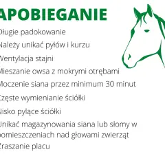 Zadbaj o zdrowie koni: zapobieganie chorobom układu oddechowego poprzez odpowiednią wentylację, czystą ściółkę i unikanie kurzu.