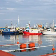 Władysławowo port pełen kutrów rybackich i białych jachtów, gotowych do wypłynięcia na spokojne morze.