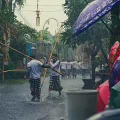 Mocny deszcz na Bali podczas pory deszczowej. Mężczyźni w tradycyjnych sarongach idą z drewnianymi tyczkami, a widzowie chronią się pod kolorowymi parasolami.