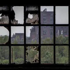 Through a broken window pane, a scene of urbex photography unfolds: decaying brick buildings stand amidst overgrown trees, a testament to time's passage.