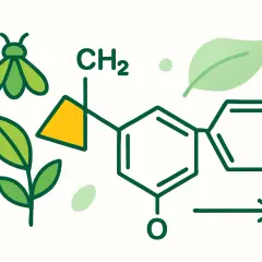 Ilustracja przedstawia wzór chemiczny, liście, owada i strzałkę, symbolizując naturalne pyretroidy środki ochrony roślin.