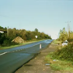 Droga z psem i samochodem, jak sprawdzić czy droga jest publiczna? Warto zwrócić uwagę na znaki i infrastrukturę.