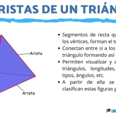 Un triángulo con sus aristas resaltadas. Una arista es un segmento que une vértices, fundamental para la estructura y análisis de triángulos.
