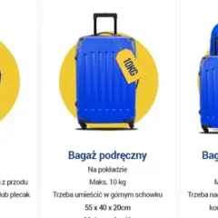 Ryanair: mała torba (40x20x25cm), bagaż podręczny (55x40x20cm, maks. 10kg) i rejestrowany (maks. 10kg lub 20kg).