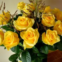 Un ramo de rosas amarillas, símbolo de amistad y alegría. El significado de la rosa amarilla se refleja en su vibrante color.
