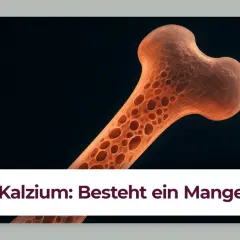 Vergrößerte Darstellung eines porösen Knochens, der auf einen Kalziummangel hindeutet. Ein Kalziummangel kann zu neurologischen Symptomen führen.