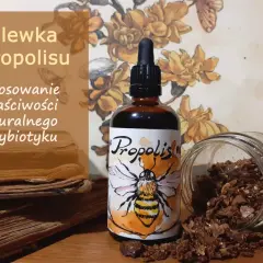 Nalewka propolisowa: Bezpieczne dawkowanie, zasady i przeciwwskazania