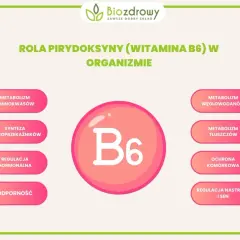 Witaj w świecie witaminy B6! Dowiedz się, na co wpływa pirydoksyna: metabolizm, synteza neuroprzekaźników, odporność, regulacja nastroju i snu.
