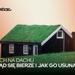 Czarny domek z zielonym dachem porośniętym trawą. Tekst pyta o mech na dachu i jak go usunąć, sugerując rozwiązanie antymech.