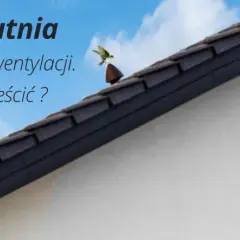 Czerpnia powietrza na ścianie domu, pod dachówką. Ptak siedzi na kominku wentylacyjnym.