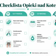 Checklista opieki nad kotem: codzienne czynności, cotygodniowe, comiesięczne i coroczne. Dbaj o swojego stary kot, by był zdrowy i szczęśliwy.