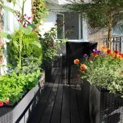 Jak osłonić balkon w bloku? Poradnik: prywatność, słońce, wiatr