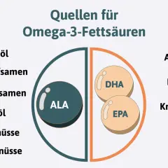 Quellen für Omega-3-Fettsäuren: ALA aus Pflanzen wie Leinöl, DHA & EPA aus Algen, Fisch, Krill. Wichtig für die tägliche Zufuhr.