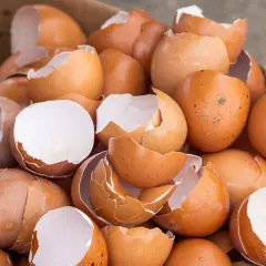 Stos skorupki jajek w zbliżeniu, niektóre białe, inne brązowe.