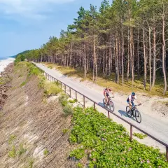 Dwóch rowerzystów przemierza malownicze trasy rowerowe Trójmiasta wzdłuż piaszczystej plaży i sosnowego lasu.