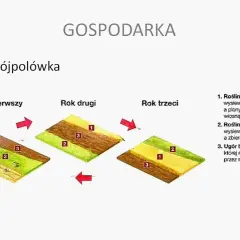 Jak powstawały wsie w średniowieczu - tajemnice kolonizacji i struktury