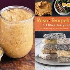 A jar of homemade miso paste next to a cookbook titled "Miso, Tempeh, Natto & Other Tasty Ferments," showcasing a variety of fermented foods.