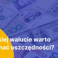 Stos banknotów, w tym dolarów amerykańskich, z pytaniem "W jakiej walucie warto trzymać oszczędności?". Czy warto kupować dolary?