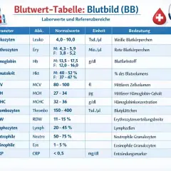 Blutwert-Tabelle: Blutbild. Zeigt Parameter wie Leukozyten, Erythrozyten und Hämoglobin (Hb) mit Normalwerten. Nützlich zur Interpretation von Laborergebnissen.