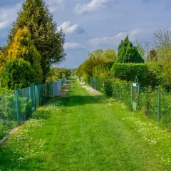Zieleń i płot na działce ROD. Jak odgrodzić się od sąsiada na działce rod? Krzewy i drzewa tworzą naturalną barierę.