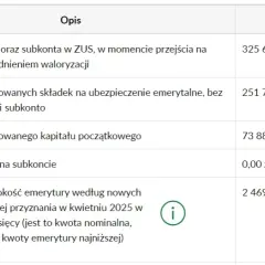 Czy będąc na emeryturze można pracować bez obaw o emeryturę?