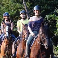 Zagroda jeździecka Mustang - wyjątkowe miejsce dla miłośników koni