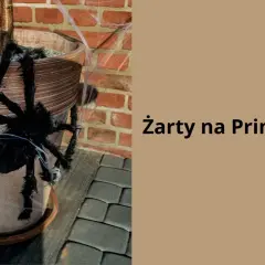 Czarna, włochata pająk ozdabia doniczkę z rośliną, tworząc zabawne żarty na prima aprilis.