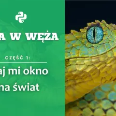 Gra w węża: Daj mi okno na świat. Zbliżenie na głowę jadowitego węża o żółto-zielonych łuskach i niebieskim oku.