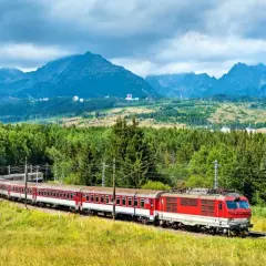Czym się różni TLK od InterCity? Odkryj kluczowe różnice i wybór