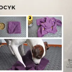Jak zrobić zabawkę dla psa? DIY pomysły na super zabawę!