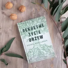 Książka "Sekretne życie drzew" na drewnianym tle, otoczona orzechami i gałązkami eukaliptusa.