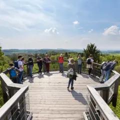 Besucher genießen die Aussicht vom Baumwipfelpfad NRW. Eine Gruppe steht auf der Holzplattform, umgeben von grünen Wäldern und blauen Himmel.