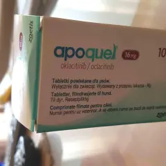 Opakowanie leku Apoquel 16 mg dla psów, zawierające 100 tabletek. Pomaga zwierzętom z problemami skórnymi.