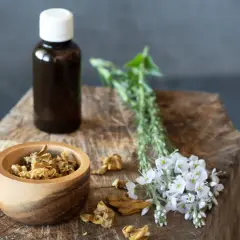 Bocciolo di legno con erbe essiccate, fiori bianchi e una bottiglia scura: ingredienti per un antibiotico naturale più potente.