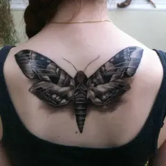Realistyczny tatuaż ćmy na plecach. Ćma symbolizuje transformację, noc i tajemnicę.