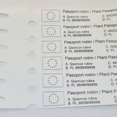 Paszport roślin / Plant Passport dla Quercus rubra. Informacje o tym, jak podlewać roślinę, są kluczowe dla jej zdrowia.