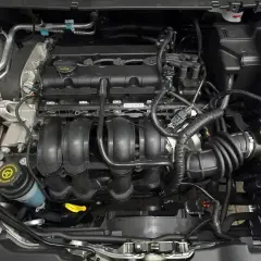 Silnik Ford Focus MK2 1.6 benzyna. Widoczne przewody, kolektor dolotowy i zbiornik płynu wspomagania.