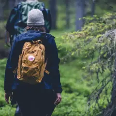 Två personer vandrar på en skogsstig bland grönska. En med en gul ryggsäck och mössa. Perfekt för vandringsleder Skellefteå.
