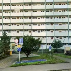 Wyznaczono miejsce dla niepełnosprawnych bez koperty, obok zieleni i bloków mieszkalnych.