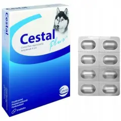 Jak działa tabletka na odrobaczanie psa i co musisz wiedzieć?
