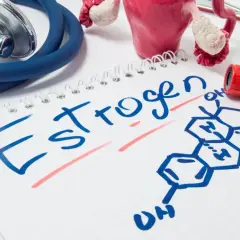 Model narządu rodnego, stetoskop, probówka z krwią i wzór chemiczny estrogenów na notatniku.
