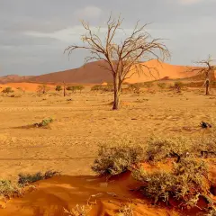 Namibia czy jest bezpiecznie? Odkryj zagrożenia i porady dla turystów